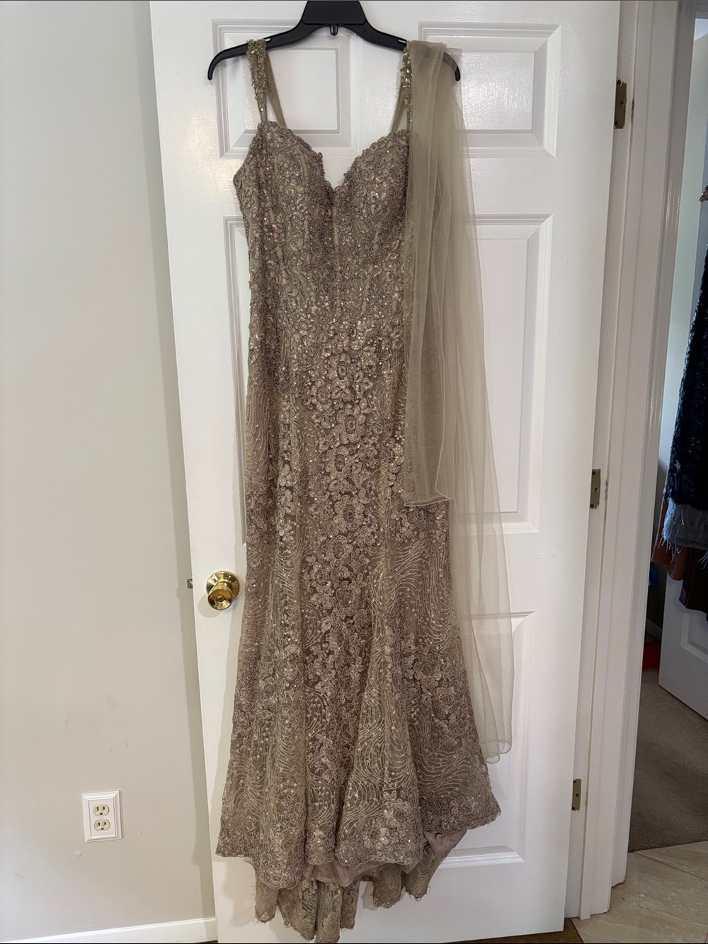 Elegant Taupe Embellished Evening Gown with Sheer Shawl